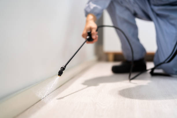 Licensed Ant Control service in Oblong, IL - Show Me Pest Control