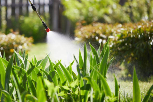 24/7 Emergency Ant Control experts in Oblong, IL